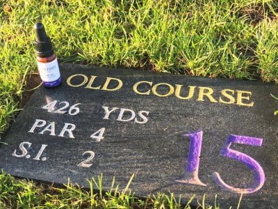 The Old Course St Andrews Hole 15 Yardage Plaque with a bottle of Golfers CBD Oil resting on it.