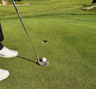 CBD For Golfers Explained: Phytonutrients